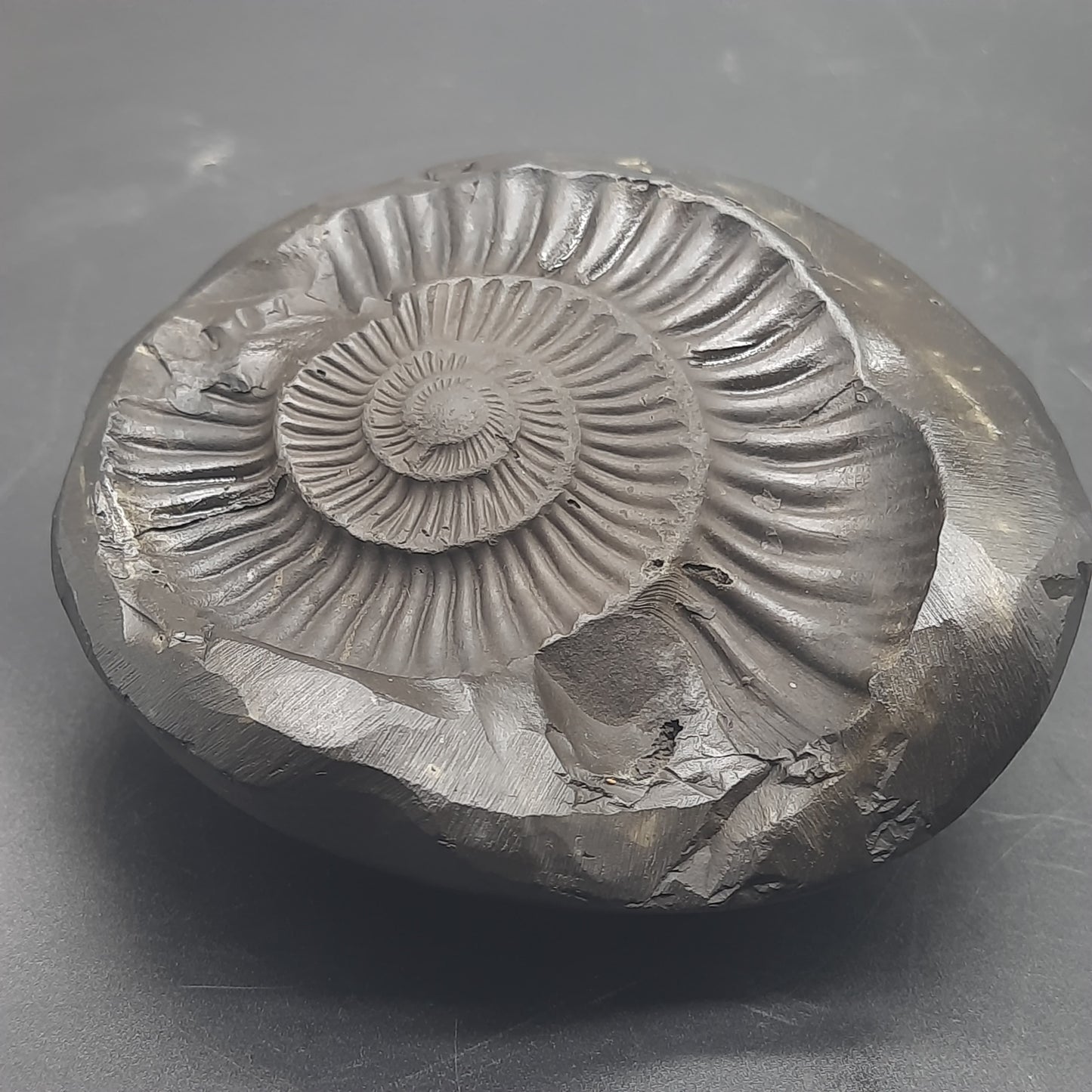 Natural Sudarshan Shaligram For Home, Office or Temple | Sourced from Gandaki River, Nepal 430-440 gram