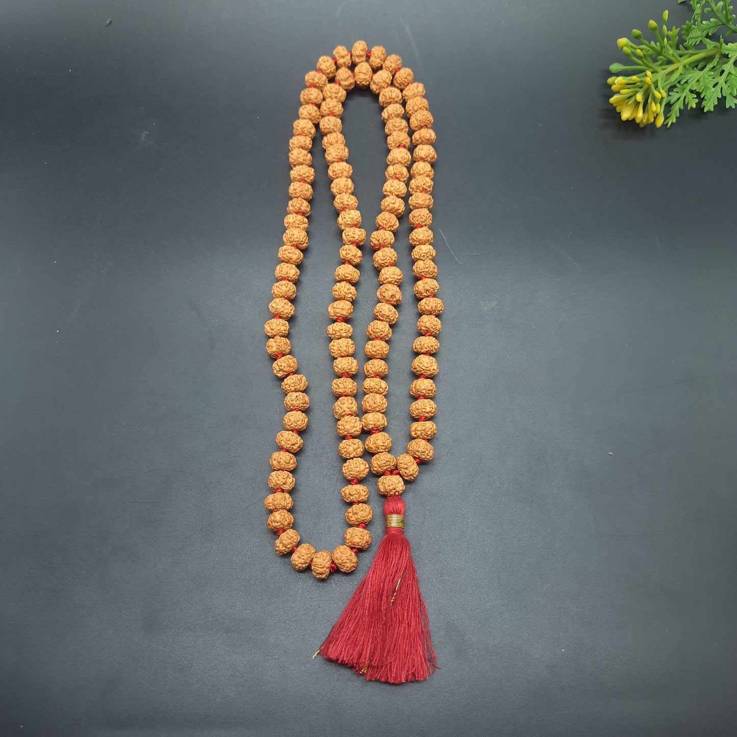 AAA Premium Quality 5 Mukhi Five Face Chikna Pathri Rudraksha Mala 8mm 108+1 Beads Mala | Meditation Jap Mala | Cheating Healing Mala