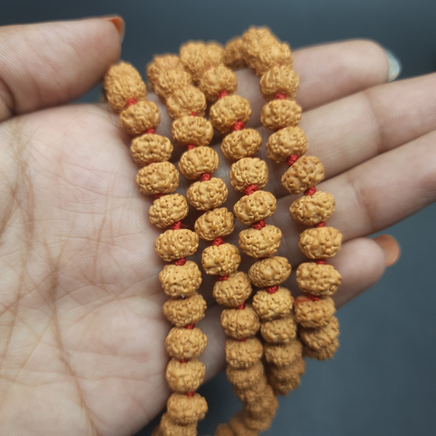 AAA Premium Quality 5 Mukhi Five Face Chikna Pathri Rudraksha Mala 8mm 108+1 Beads Mala | Meditation Jap Mala | Cheating Healing Mala