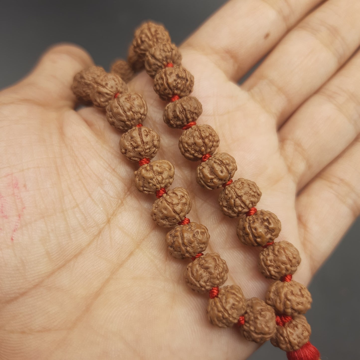 Premium Pathri Rudraksha Mala for Jaap - 5 Mukhi Mala | 27+1 Prayer Beads for Meditation & Healing | 9-10mm Beads