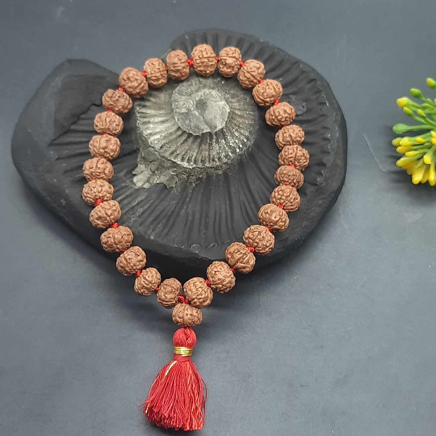 Premium Pathri Rudraksha Mala for Jaap - 5 Mukhi Mala | 27+1 Prayer Beads for Meditation & Healing | 9-10mm Beads