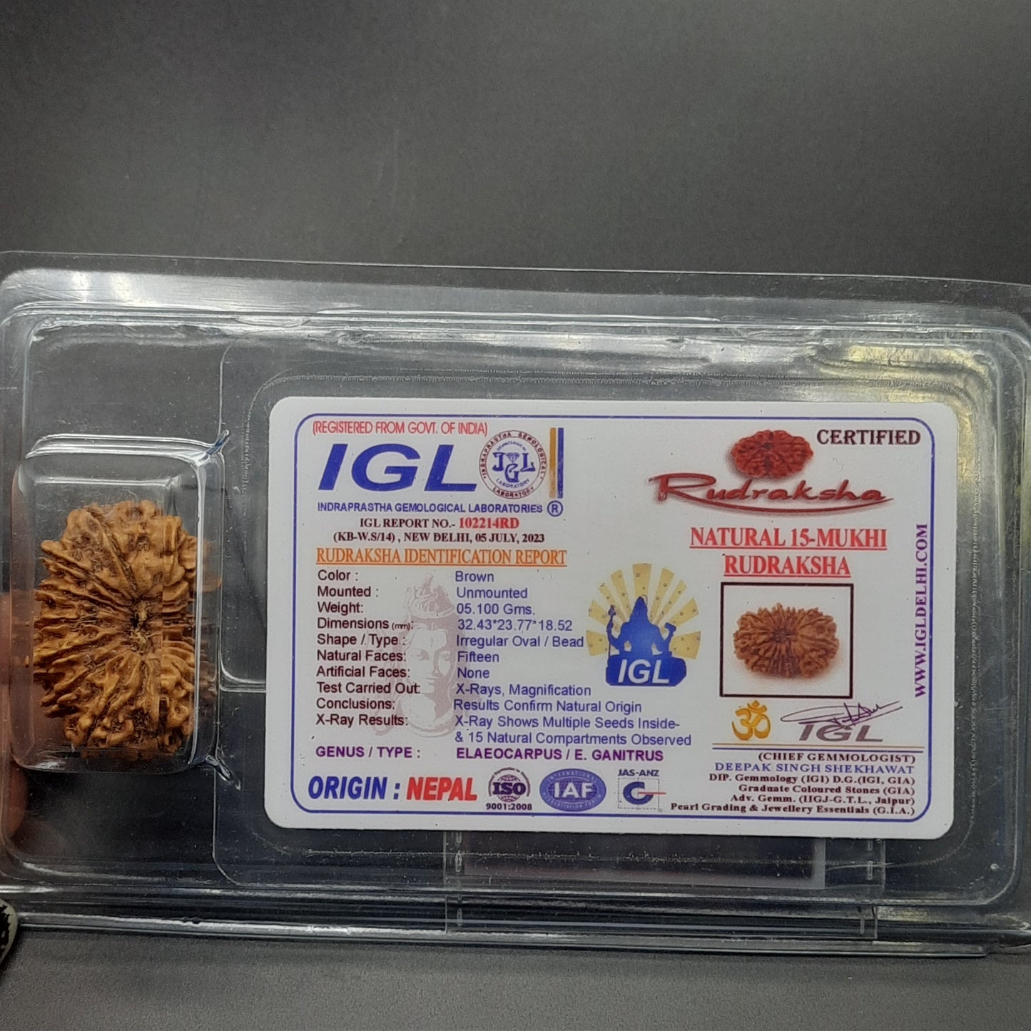 15 Mukhi Fifteen Face Super Collector Nepal Rudraksha | 32.43mm, 05.100gram | IGL Lab Certified