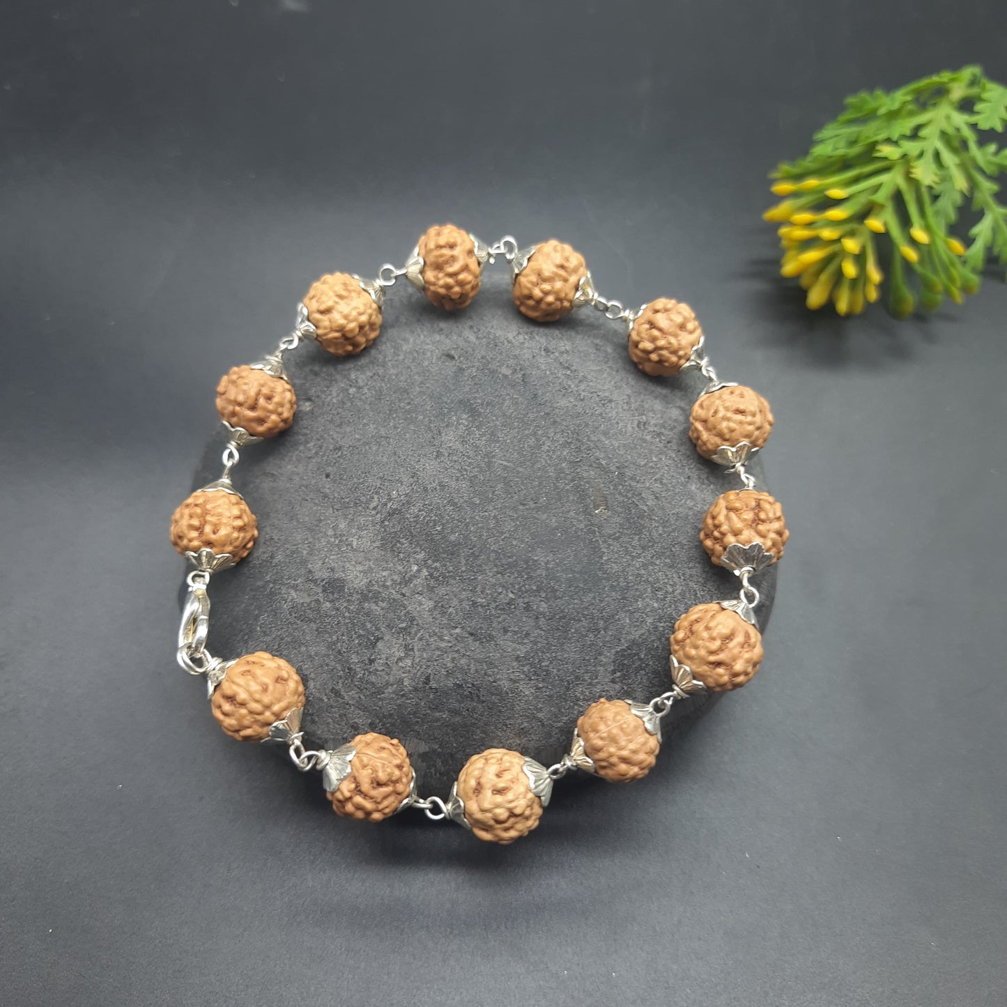 6 Mukhi / Face Java Rudraksha Bracelet with Pure Silver 9-10 mm