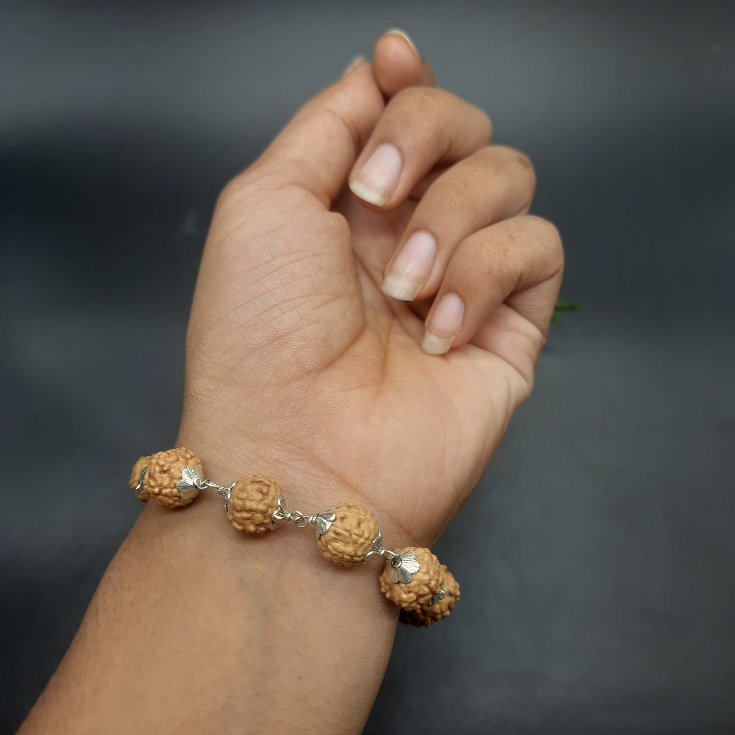 6 Mukhi / Face Java Rudraksha Bracelet with Pure Silver 9-10 mm