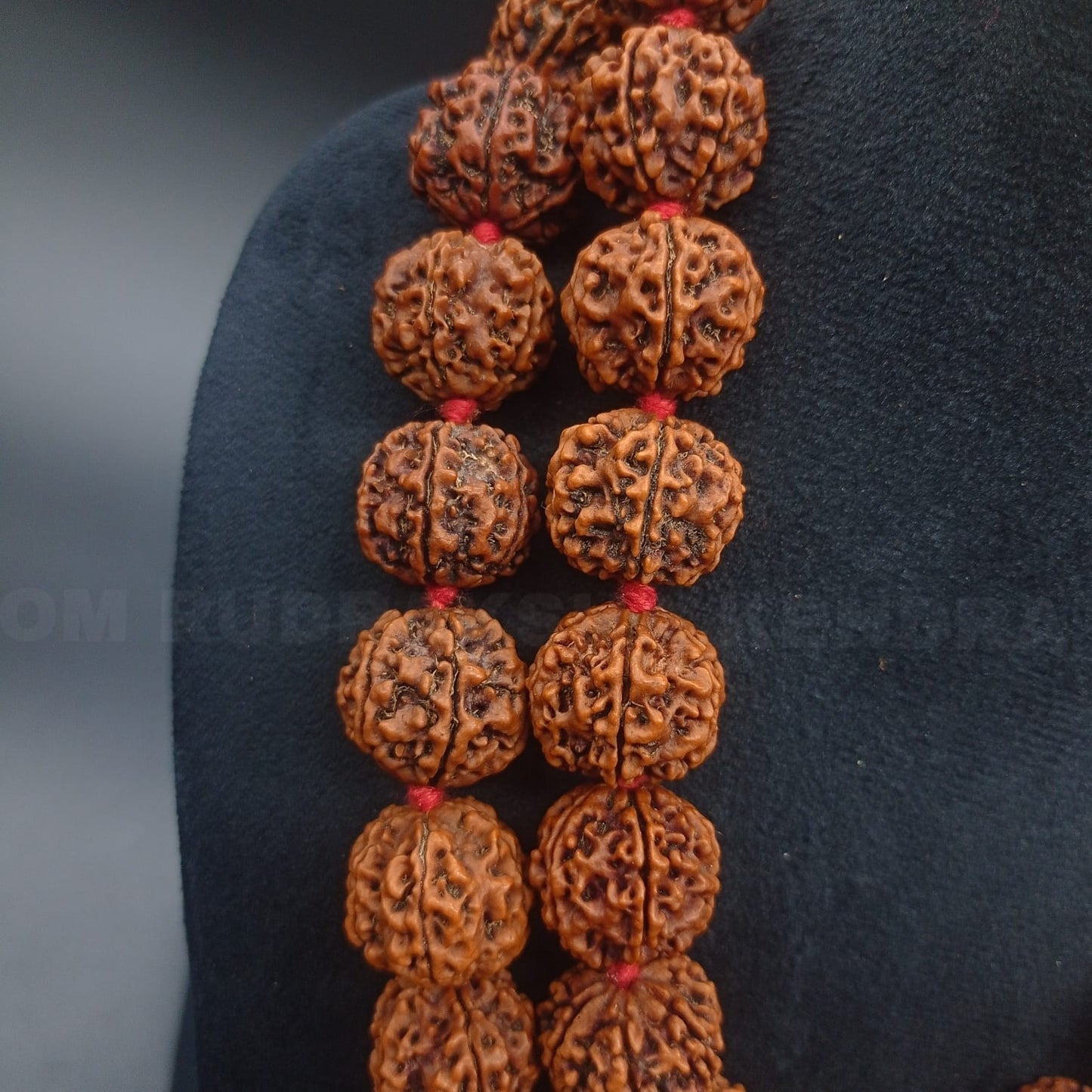 6 Mukhi / Six Face Rudraksha Kantha Mala Nepal 54+1 Beads 22-24mm