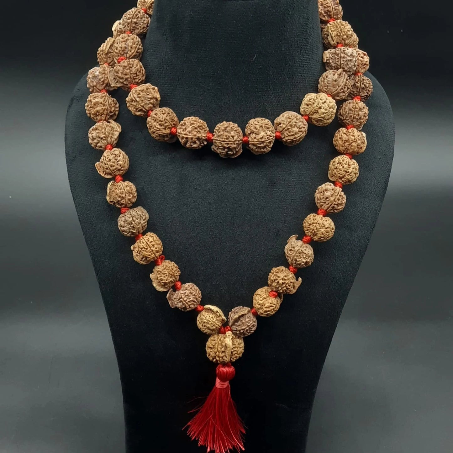 Ganesh Mukhi / Face Rudraksha Mala From Nepal 54+1 Beads 21-23 mm | Lab Certified