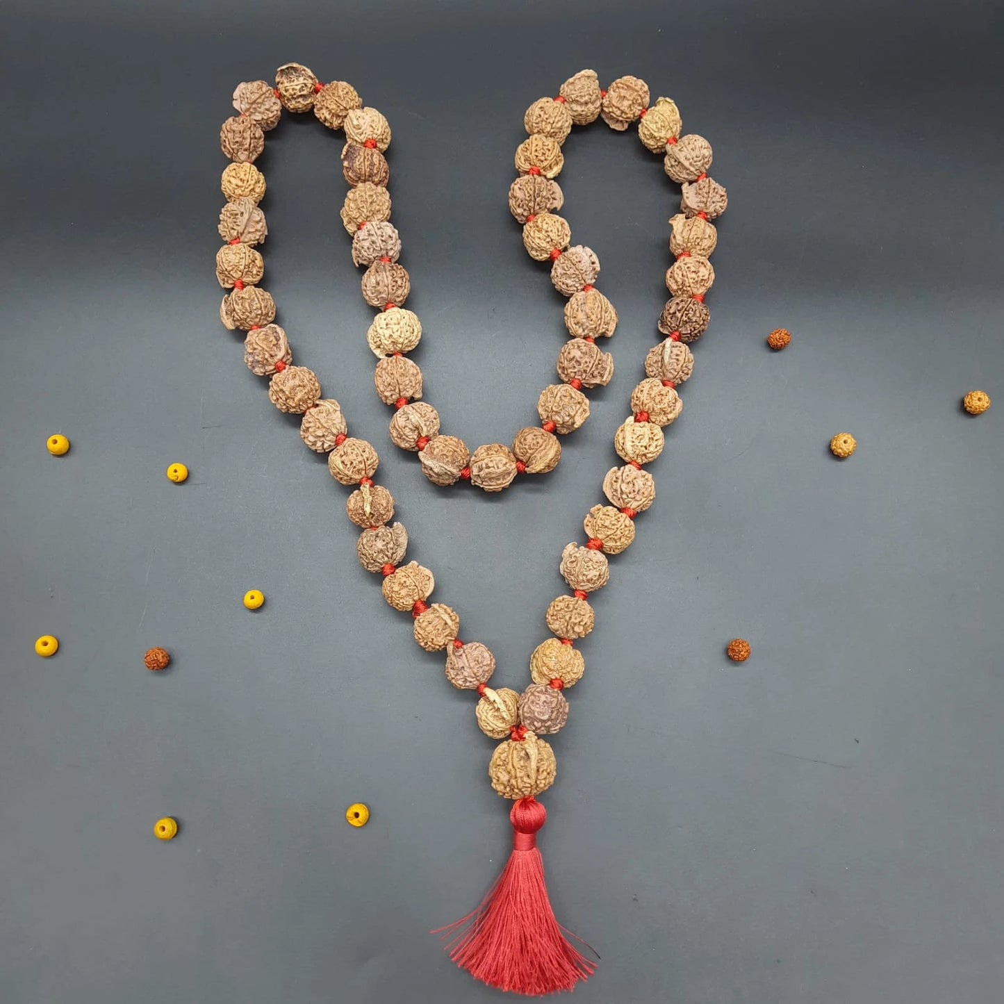 Ganesh Mukhi / Face Rudraksha Mala From Nepal 54+1 Beads 21-23 mm | Lab Certified