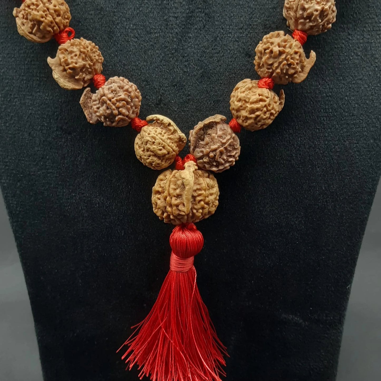 Ganesh Mukhi / Face Rudraksha Mala From Nepal 54+1 Beads 21-23 mm | Lab Certified