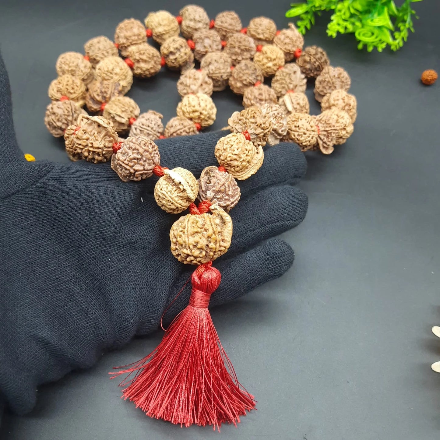 Ganesh Mukhi / Face Rudraksha Mala From Nepal 54+1 Beads 21-23 mm | Lab Certified