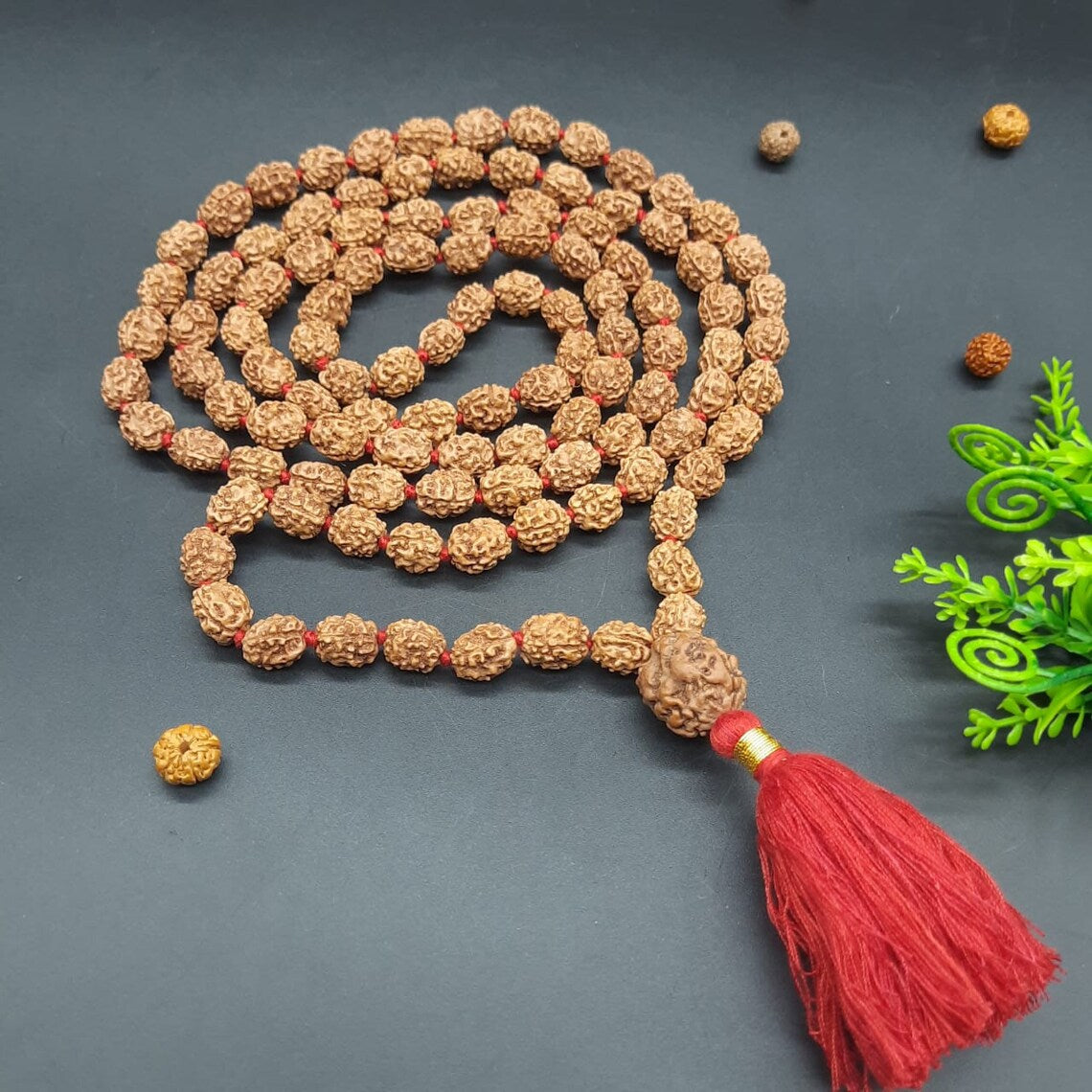 Three face / 3 mukhi rudraksha mala with 3 mukhi sumeru nepal rudraksha 108+1 beads 8-9mm size