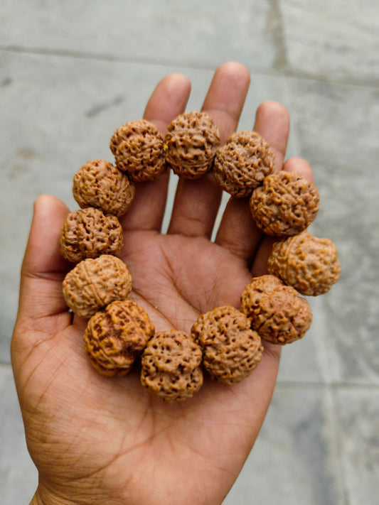 5 Mukhi Amla Size Rudraksha Bracelet | Lab certified Spiritual Bracelet | 24-25mm