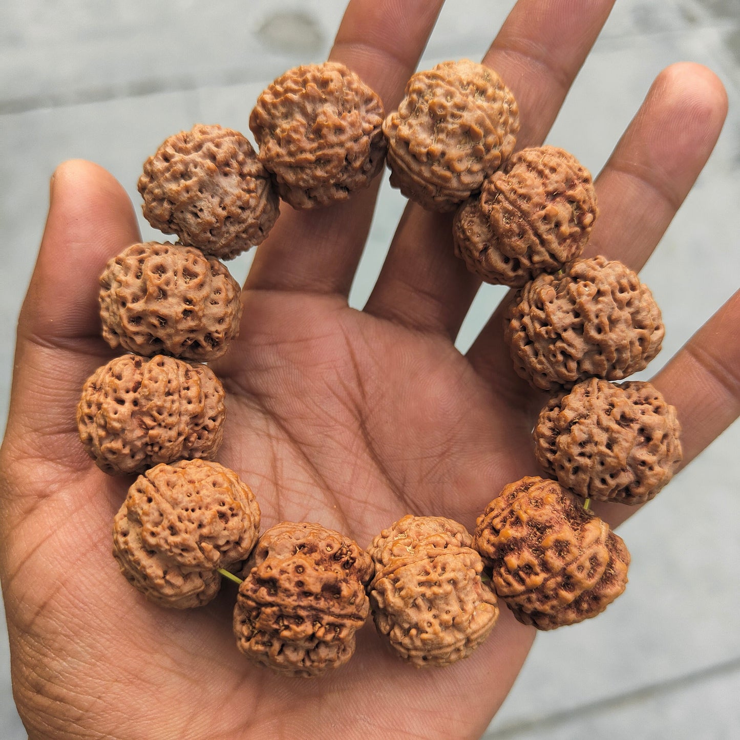 5 Mukhi Amla Size Rudraksha Bracelet | Lab certified Spiritual Bracelet | 24-25mm