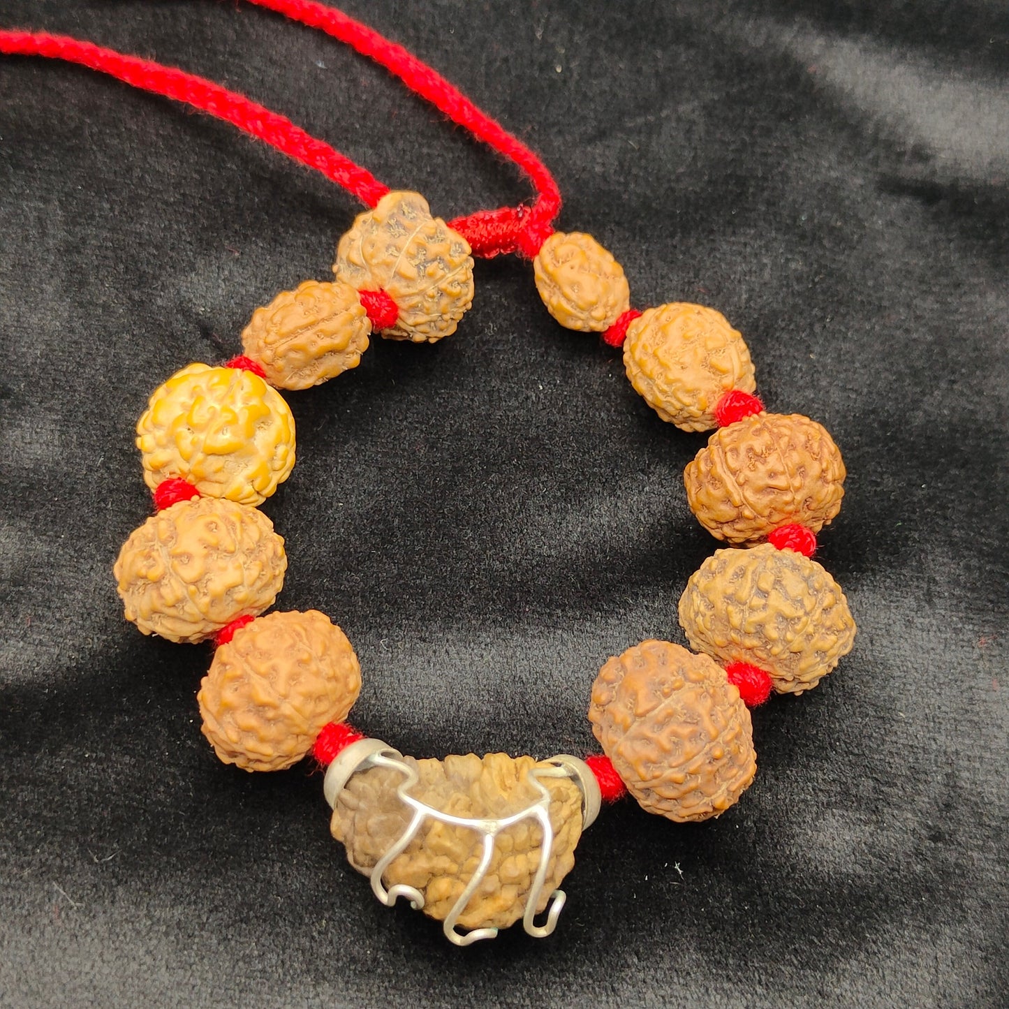 1 Mukhi to 9 Mukhi Rudraksha Bracelet  | One to Nine Face Rudraksha Bead Bracelet | Organic Beads Silver Bracelet