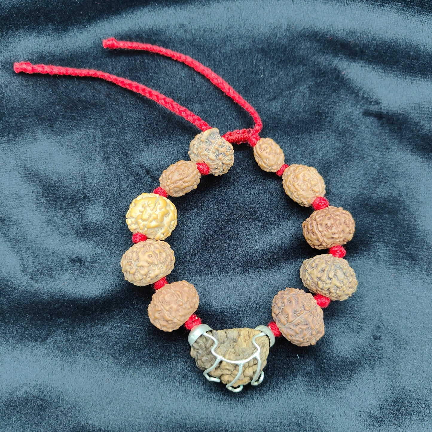 1 Mukhi to 9 Mukhi Rudraksha Bracelet  | One to Nine Face Rudraksha Bead Bracelet | Organic Beads Silver Bracelet