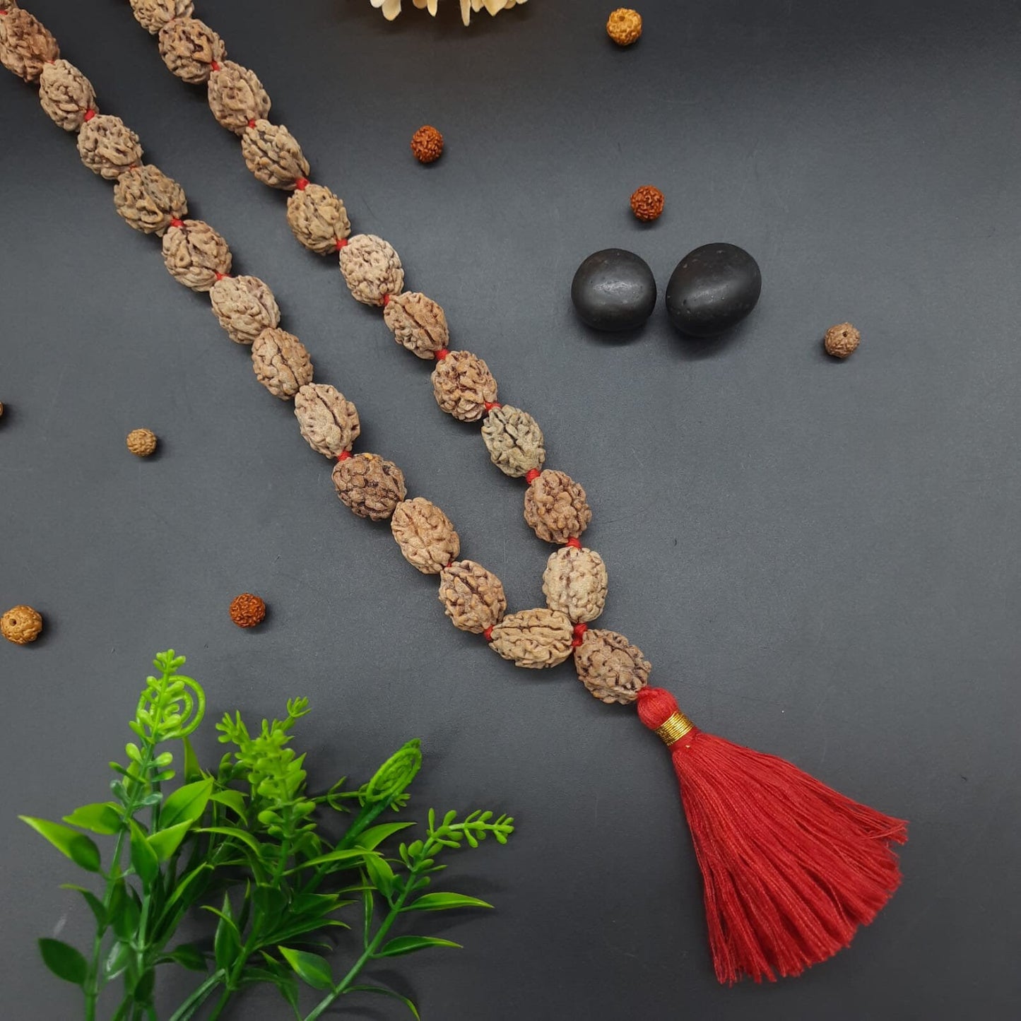 2 Mukhi Rudraksha Kantha Mala Himalayan 32+1 beads 18-20mm size