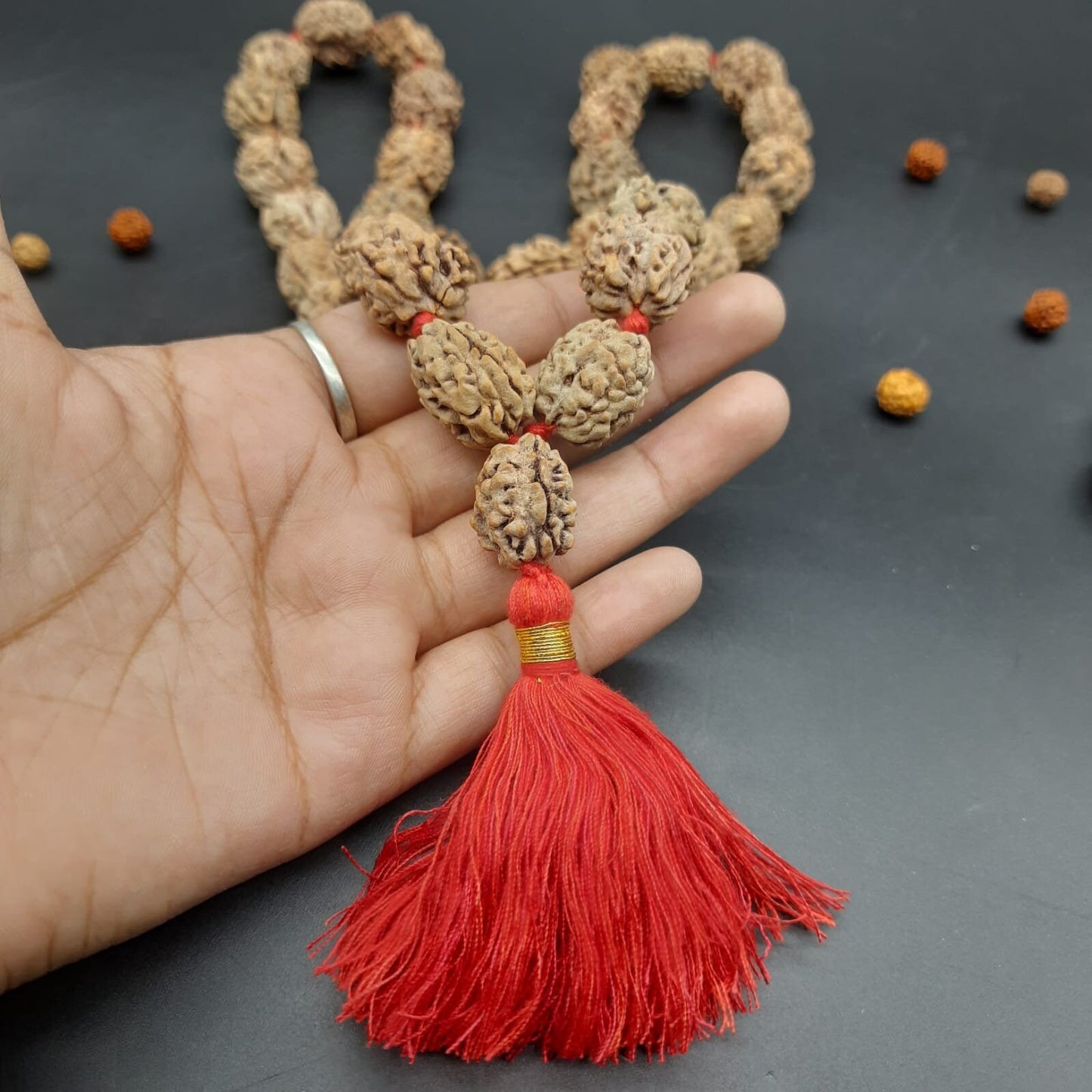 2 Mukhi Rudraksha Kantha Mala Himalayan 32+1 beads 18-20mm size