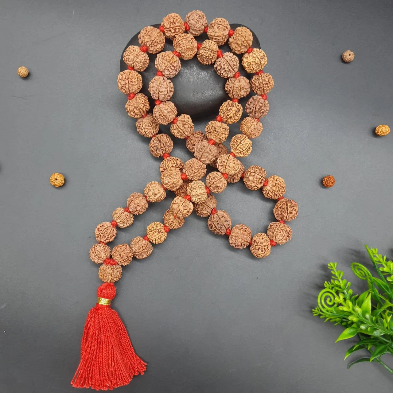 7 Mukhi / Seven Face Nepal Rudraksha Mala 54+1beads 17-18mm