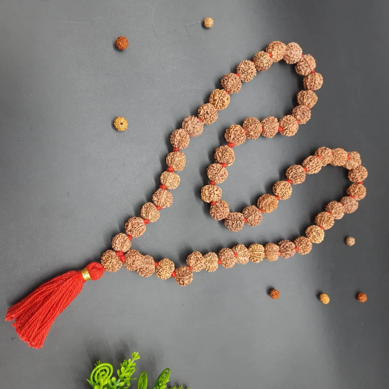 7 Mukhi / Seven Face Nepal Rudraksha Mala 54+1beads 17-18mm