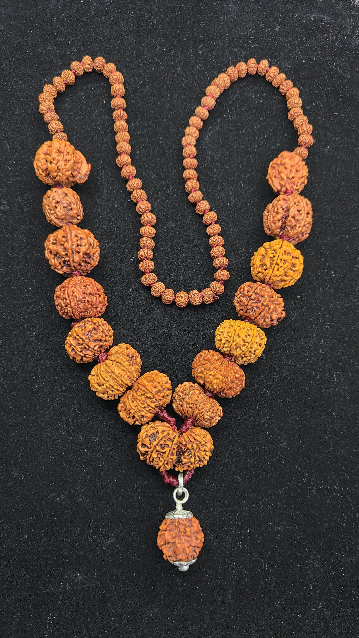 1-14 Mukhi, Ganesh, Gauri Shankar Rudraksha Siddha Mala From Nepal Most Powerful With Pure Silver 22-26mm