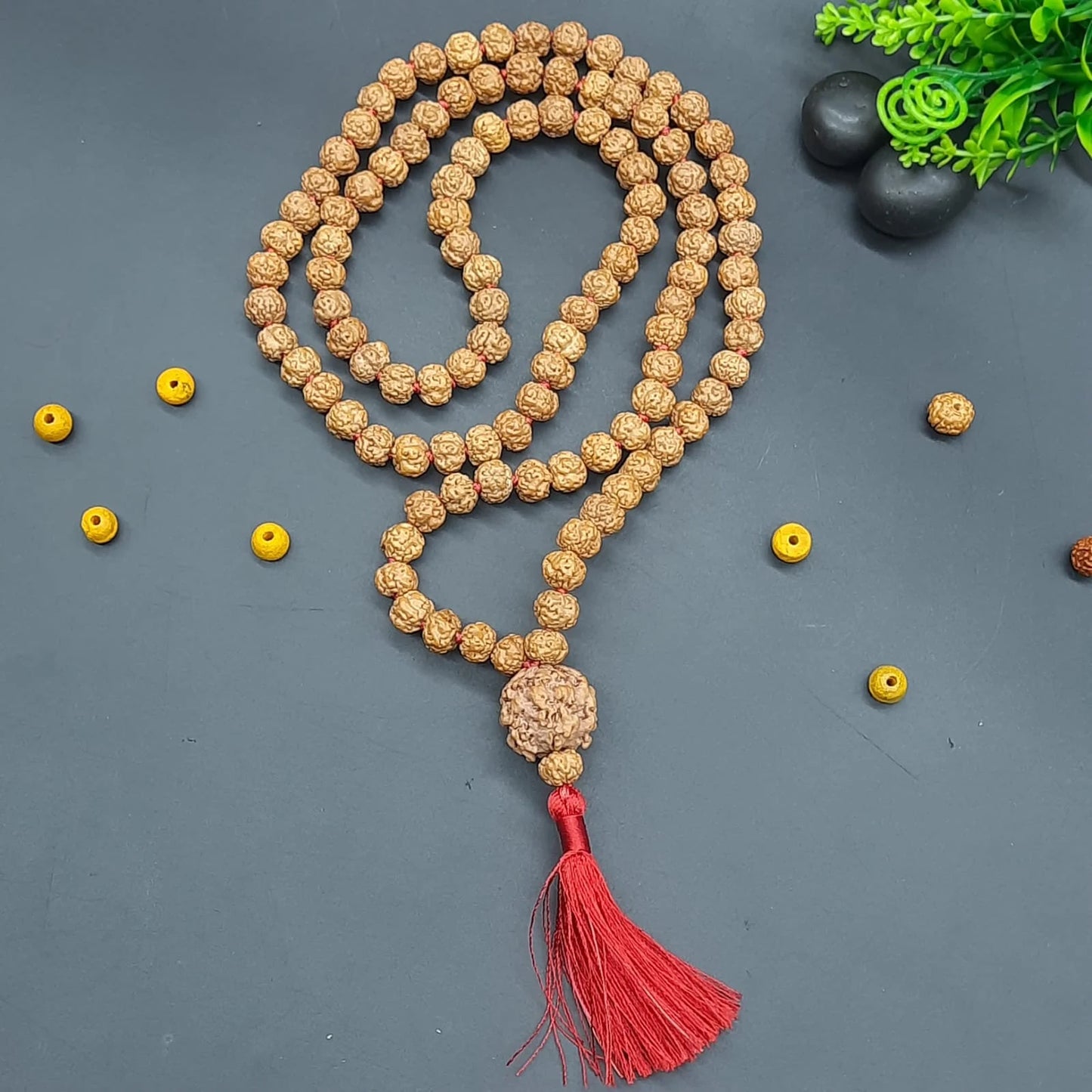 Nirakar / Faceless Rudraksha Java Mala With One Nirakar Nepal Rudraksha Guru Bead 108+1 beads 8-10mm