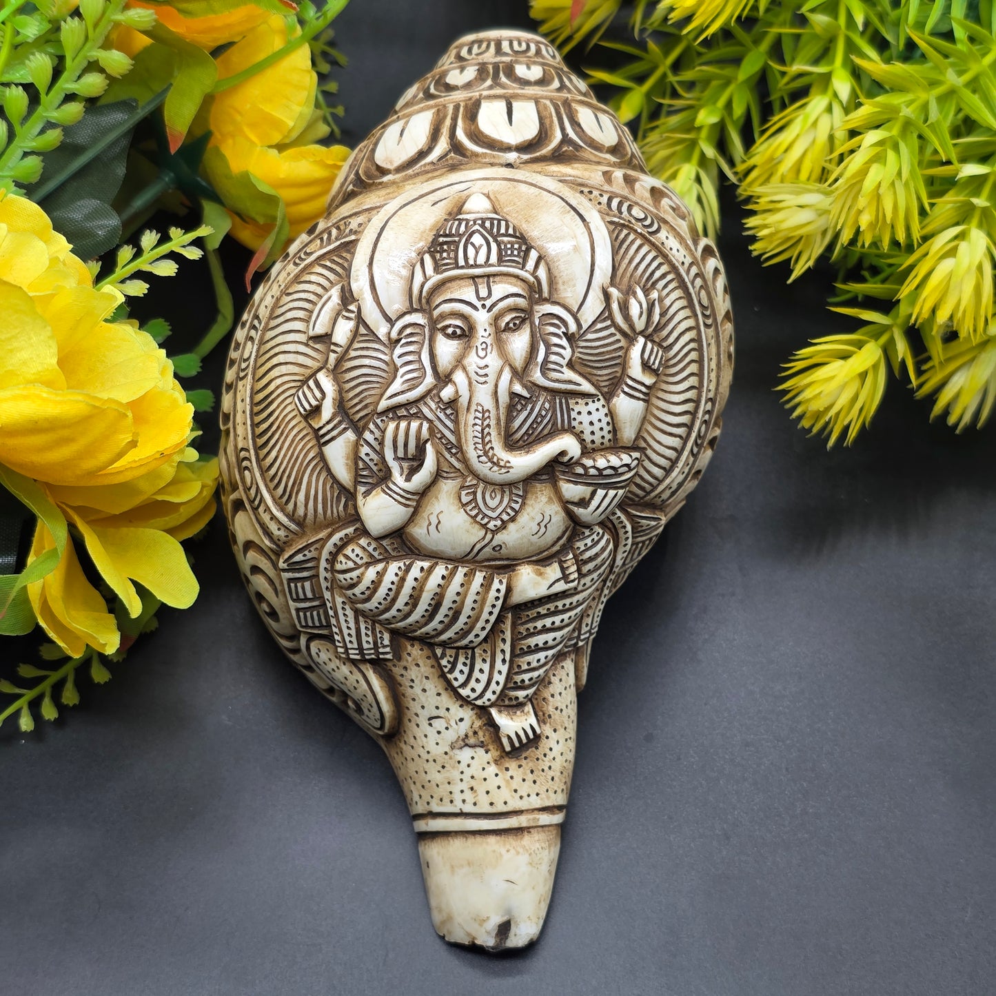 Vamavrati / Blowing Shankh With Beautiful Crafted Lord Ganesha Big Size