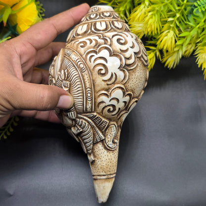 Vamavrati / Blowing Shankh With Beautiful Crafted Lord Ganesha Big Size