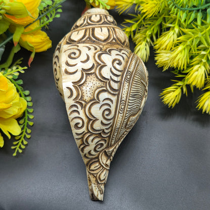 Vamavrati / Blowing Shankh With Beautiful Crafted Lord Radha Krishna Big Size