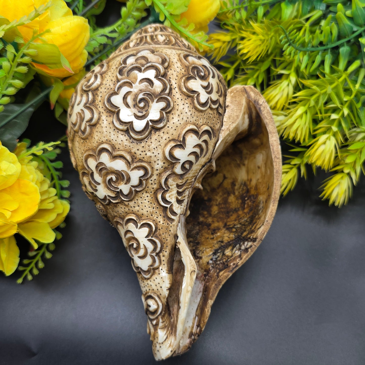 Vamavrati / Blowing Shankh With Beautiful Crafted Lord Krishna Dashavtaar Rare Size