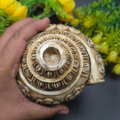 Vamavrati / Blowing Shankh With Beautiful Crafted Lord Krishna Dashavtaar Rare Size