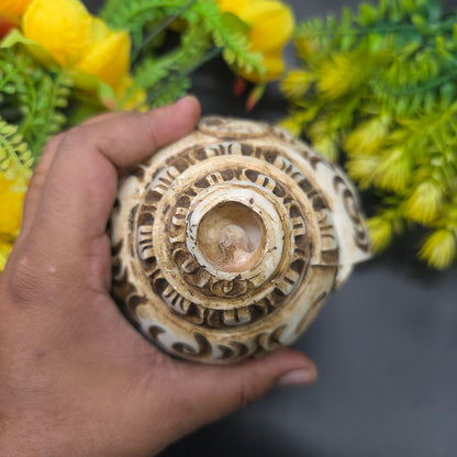 Vamavrati / Blowing Shankh With Beautiful Crafted Shiv Parivar 9 Inch
