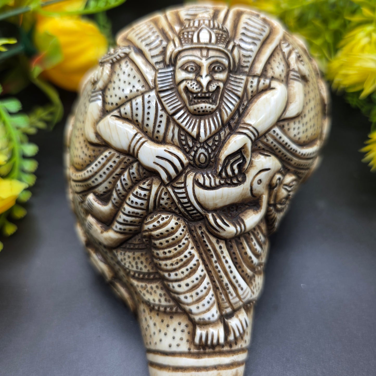 Vamavrati / Blowing Shankh With Beautiful Crafted Lord Narsingh Ji Big Size