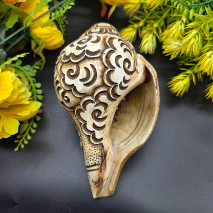 Vamavrati / Blowing Shankh With Beautiful Crafted Lord Narsingh Ji Big Size
