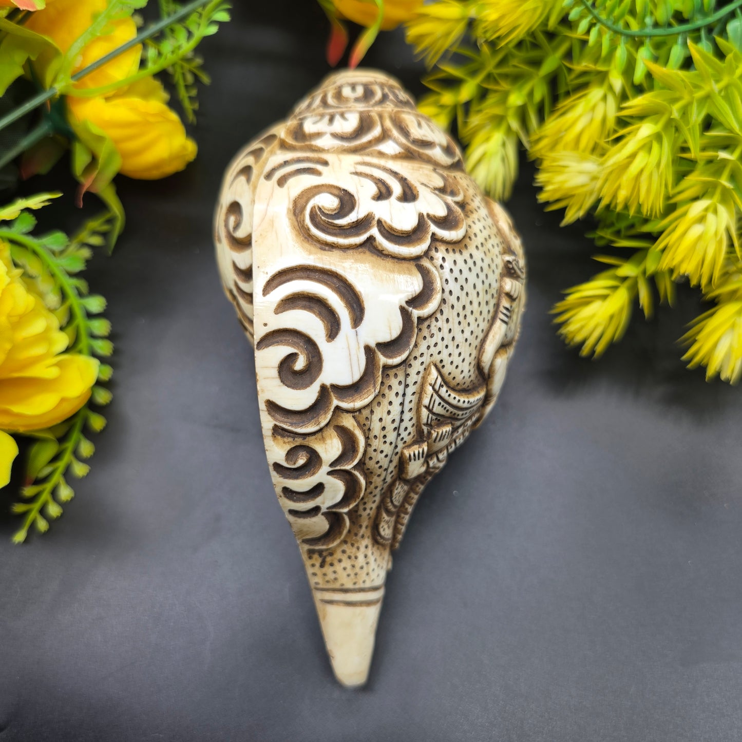 Vamavrati / Blowing Shankh With Beautiful Crafted Lord Narsingh Ji Big Size