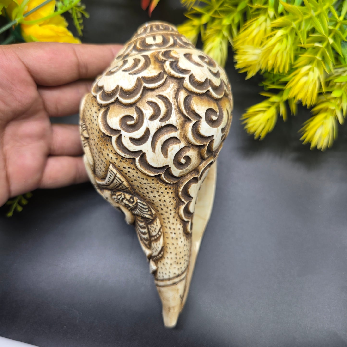 Vamavrati / Blowing Shankh With Beautiful Crafted Lord Narsingh Ji Big Size