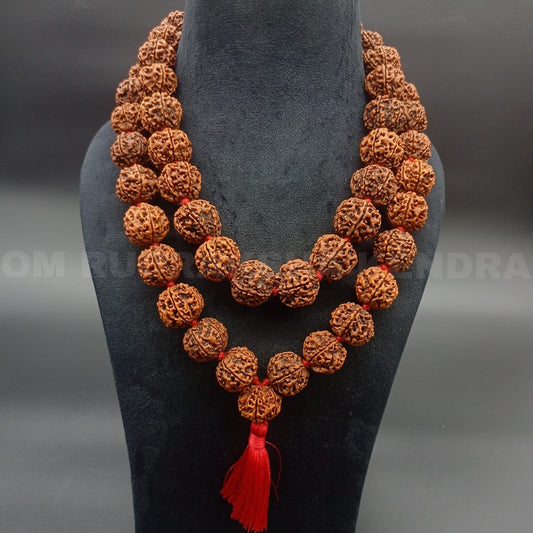 6 Mukhi / Six Face Rudraksha Kantha Mala Nepal 54+1 Beads 22-24mm