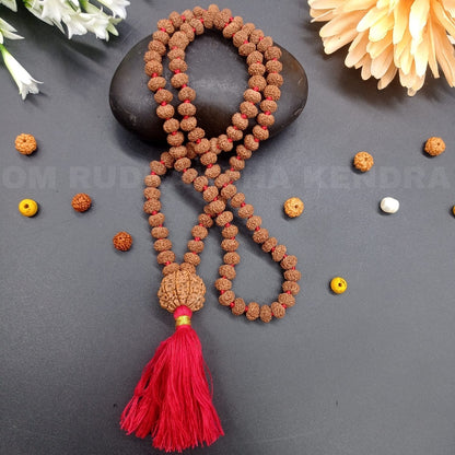 7 Mukhi / Seven Face Java Rudraksha Mala with 7 Mukhi Nepal Sumeru rudraksha   108+1 beads 8-9mm