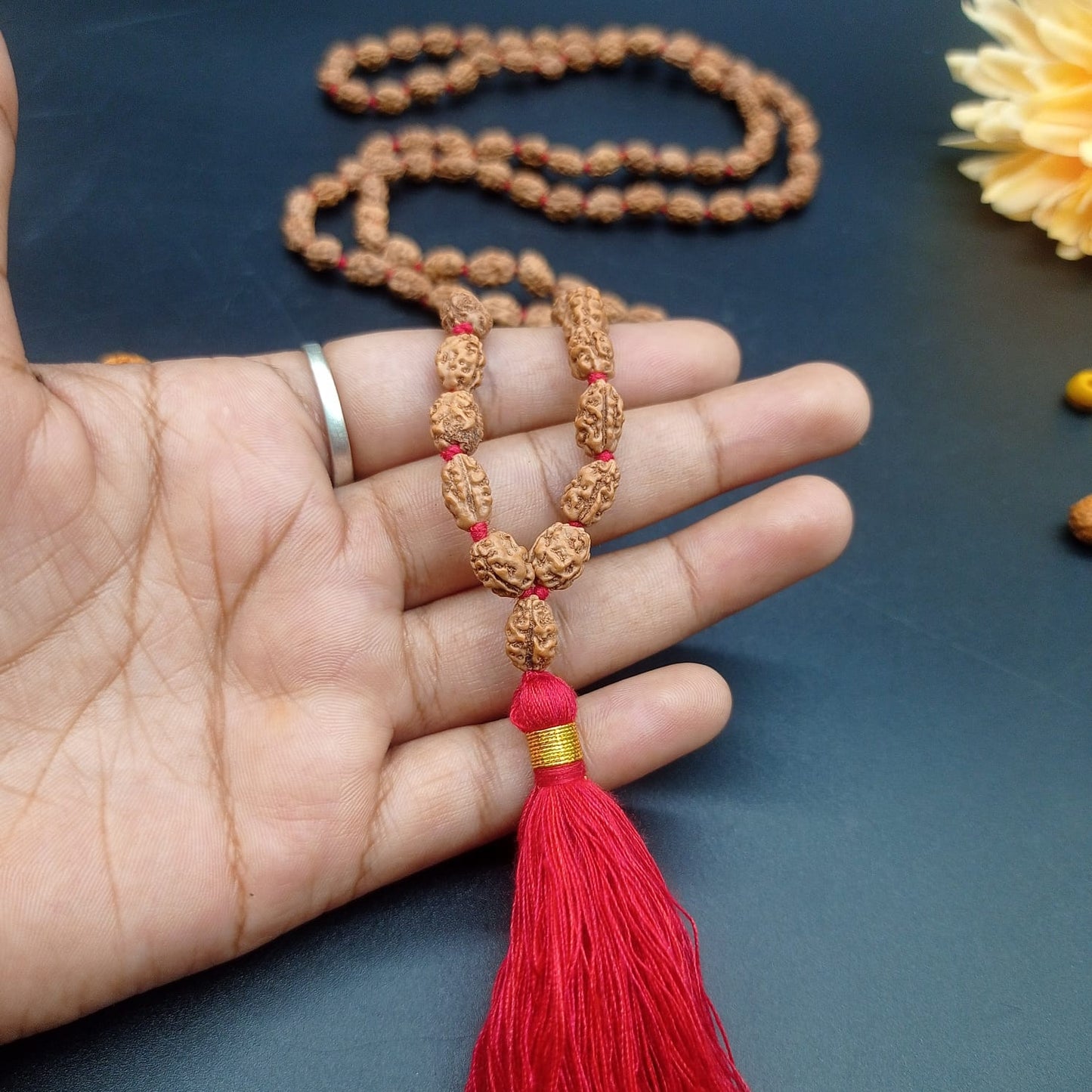 2 MUkhi / Two Face Java Rudraksha mala 108+1 Beads 8-10mm