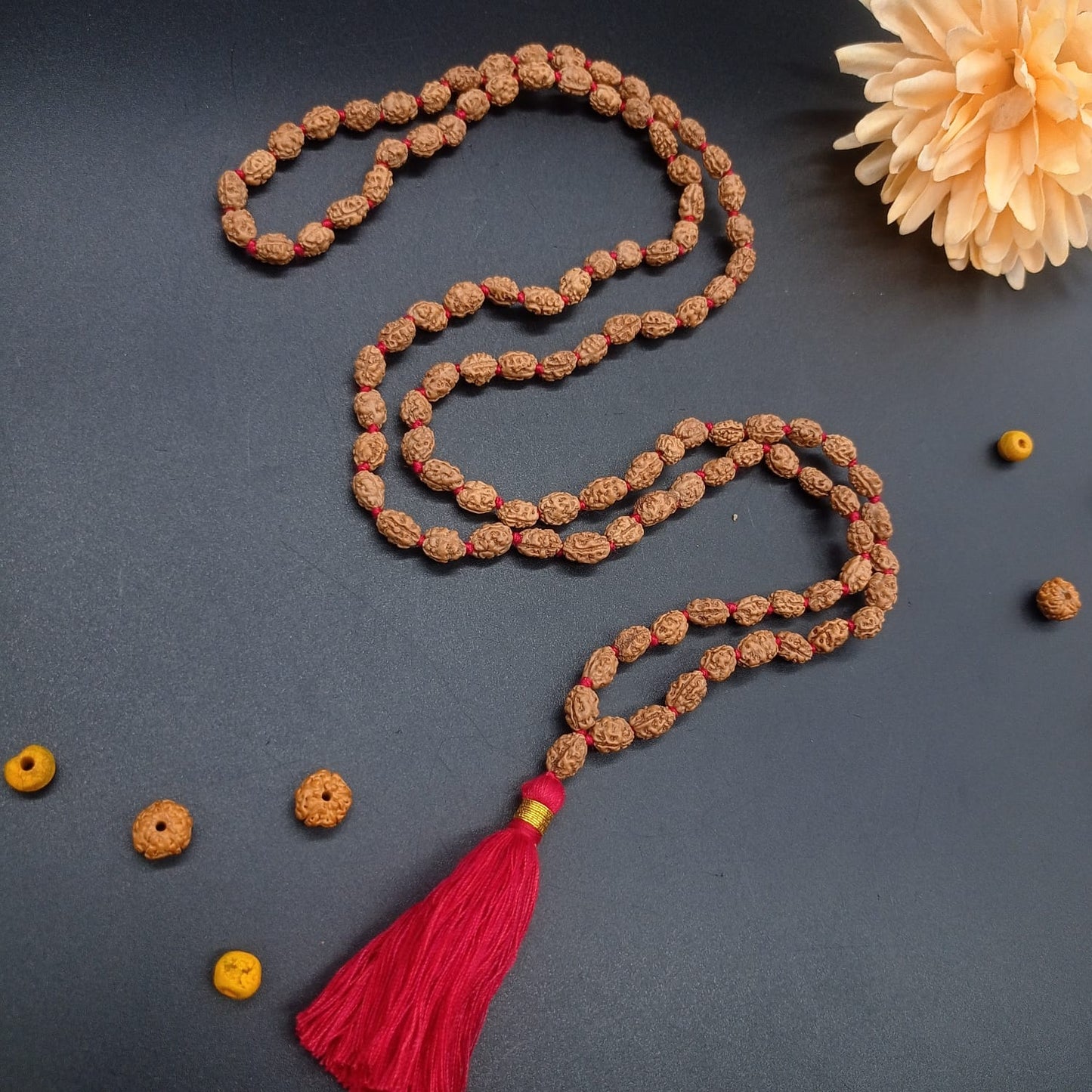 2 MUkhi / Two Face Java Rudraksha mala 108+1 Beads 8-10mm