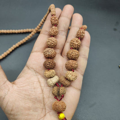 1-14 Mukhi, Ganesh, Gauri Shankh Rudraksha Siddha Mala From Java Big Size