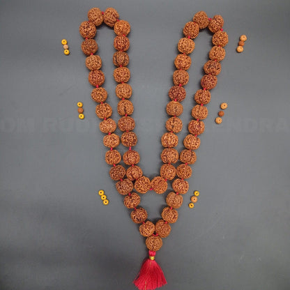 6 Mukhi / Six Face Rudraksha Kantha Mala Nepal 54+1 Beads 22-24mm