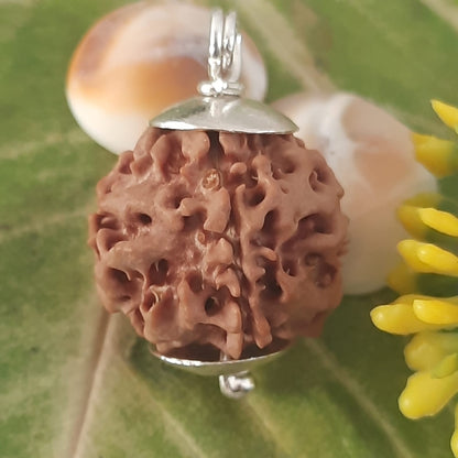 Ek Mukhi Gol / One Face Round Shape Nepal Rudraksha (underdeveloped) With Pure Silver Capping