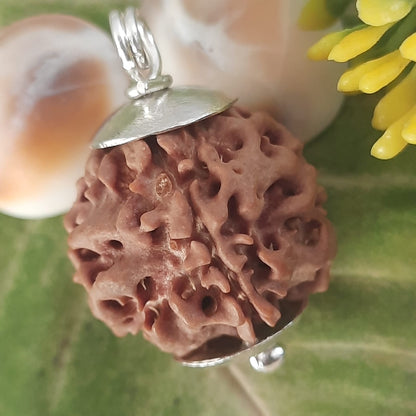 Dummy Ek Mukhi Gol / One Face Round Shape Nepal Rudraksha