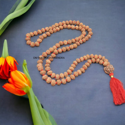 7 Mukhi / Seven face Java Rudraksha Mala With 7 Mukhi Nepal Sumeru Rudraksha 108+1 Beads 9-10 mm