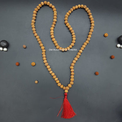 Nirakar / Faceless Rudraksha Java Mala 108+1 beads 8-10mm