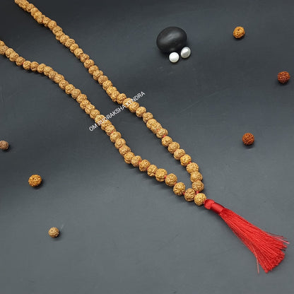 Nirakar / Faceless Rudraksha Java Mala 108+1 beads 8-10mm