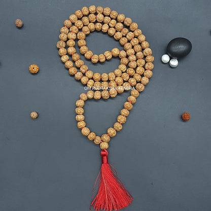 Nirakar / Faceless Rudraksha Java Mala 108+1 beads 8-10mm