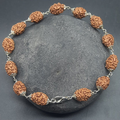 3 Mukhi / Face Java Rudraksha Bracelet with Pure Silver 10-12 mm