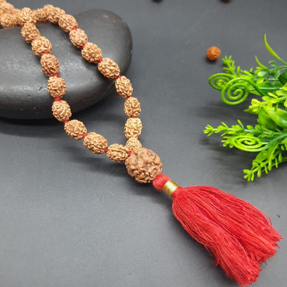 Three face / 3 mukhi rudraksha mala with 3 mukhi sumeru nepal rudraksha 108+1 beads 8-9mm size