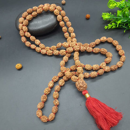 Three face / 3 mukhi rudraksha mala with 3 mukhi sumeru nepal rudraksha 108+1 beads 8-9mm size