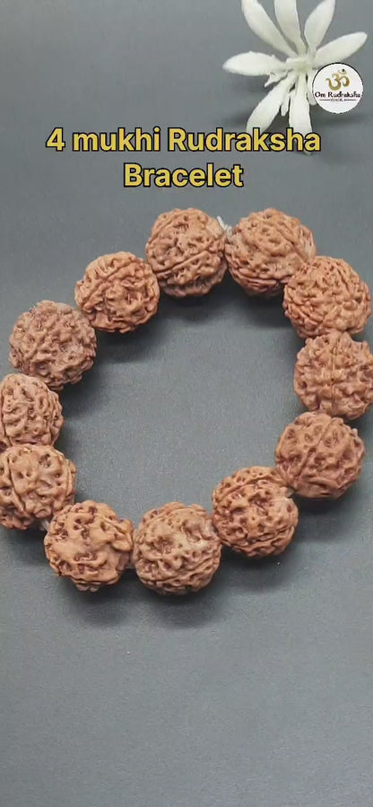 4 Mukhi Four Face Rudraksha Bracelet From Nepal in Elastic - Spiritual Healing & Clarity | 17-19mm